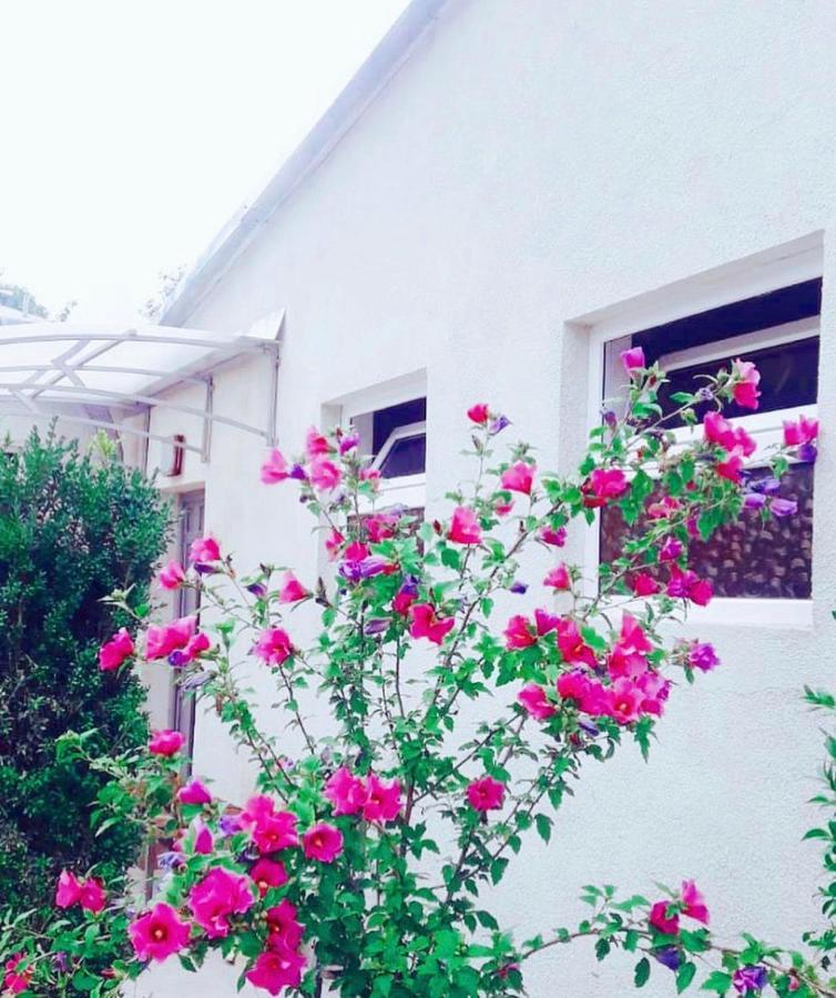 דיליג'אן Green Garden B&B מראה חיצוני תמונה