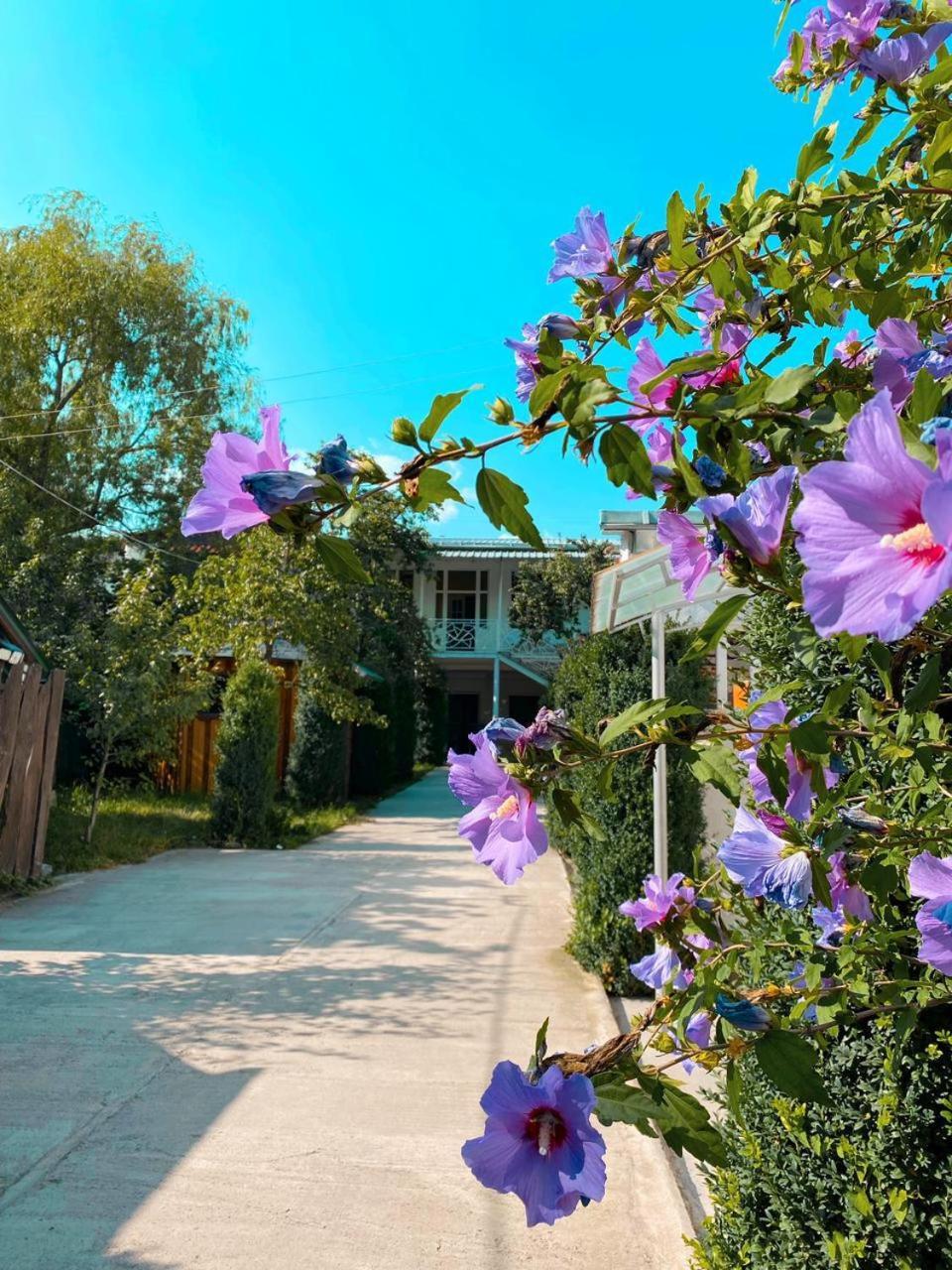 דיליג'אן Green Garden B&B מראה חיצוני תמונה